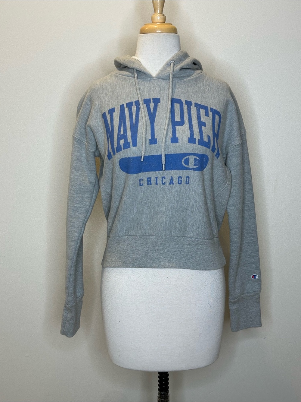 Champion Reverse Weave Cropped Gray Hoodie with Blue Navy Pier Chicago Print XS